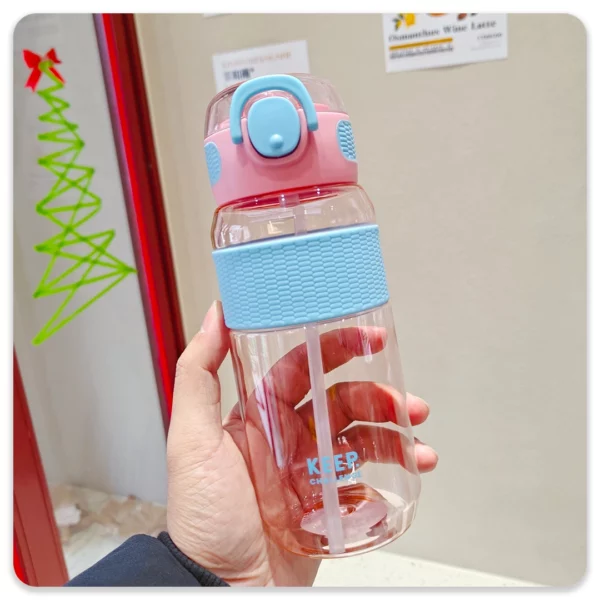 قمقمه مدل LY-450 ml - Image 7